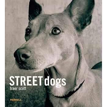 Street Dogs: Scott, Traer: 9781858944081: Amazon.com: Books